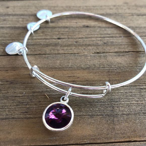 Alex and Ani Amethyst Birthstone Crystal Silver Adjustable Charm Bracelet! EUC - Picture 6 of 10